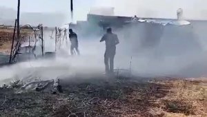 Elazığ'da otluk ve ağaçlık alanda çıkan yangınlar söndürüldü