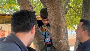 Ayağı ağaca sıkışan çocuğu, itfaiye kurtardı