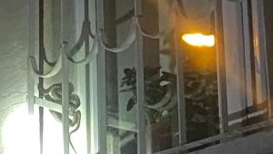 Cam korkuluktaki yılan paniğe neden oldu