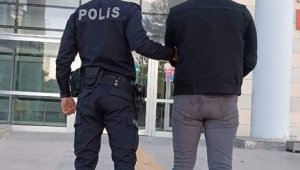 Elazığ'da 'oto faresi' yakalandı
