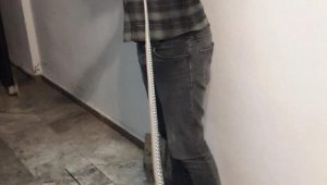 Elazığ'da elektrik panosuna giren yılan korkuttu