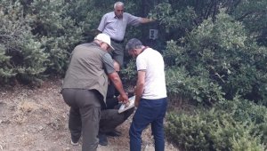 Elazığ'da fotokapanların konum ve kart değişimleri yapıldı