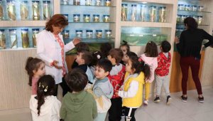 Elazığ'da öğrenciler balık müzesini gezdi