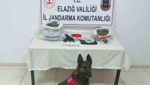 Elazığ'da uyuşturucu operasyonu: 2 gözaltı