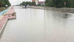 Elazığ'da yollar göle döndü, bahçe ve ahırları su bastı