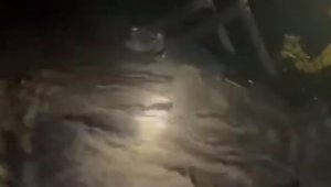 Elazığ'da sağanak yağış sonrası dereler taştı