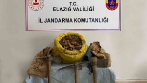 Elazığ'da 30 kilogram salep bitkisi ele geçirildi