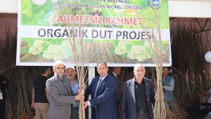 Elazığ'da üreticilere bin 400 adet dut fidanı dağıtıldı
