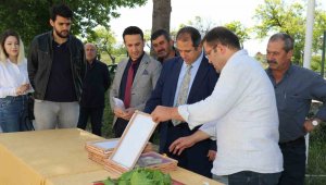 Elazığ'da üreticilere ipek böceği larvası dağıtıldı