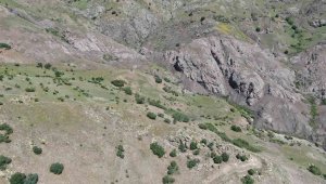 Elazığ'daki kan donduran cinayetin dehşet veren detayları ortaya çıktı