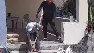 Havalar ısındı, yılanlar evlere girmeye başladı