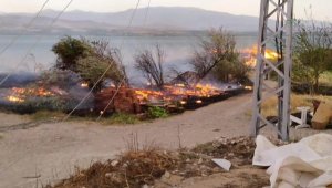 Elazığ'da otluk alanda yangın