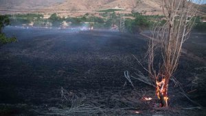 Elazığ'da yangın: 20 dönüm ekili alan kül oldu