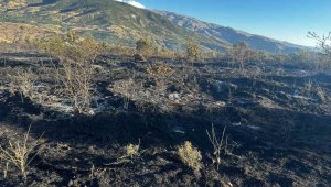 Elazığ'da yangın: 4 kişi yaralandı, yüzlerce kayısı ağacı yandı