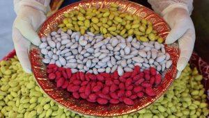 Elazığ'da bir ilk: Vişneli badem şekerinin ardından limonlusu yapıldı