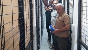 Elazığ'da Hayvan Bakımevinde denetim