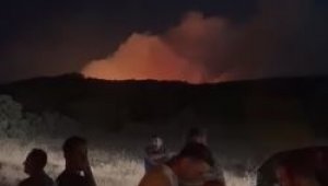 Elazığ'da orman yangını kontrol altına alındı