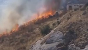 Elazığ'da otluk alanda çıkan yangın korkuttu