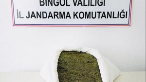 Bingöl'de 17 kilo esrar ele geçirildi