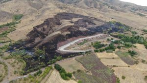 Elazığ'da 200 dönüm alan yangında kül oldu