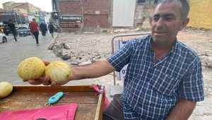 Elazığ'da susuz yetişen Kultik kavunu tezgahlarda