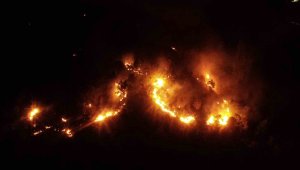 Elazığ'daki orman yangını kontrol altına alındı