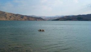 Sürüden ayrılan inek suda telef oldu