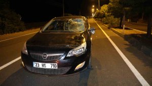 Elazığ'da otomobilin çarptığı kadın kurtarılamadı