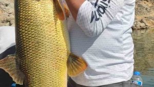 Elazığ'da oltaya 38 kiloluk dev Fırat turnası takıldı