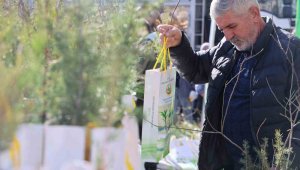 Elazığ'da vatandaşlara 23 bin adet ücretsiz fidan dağıtıldı