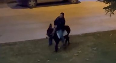 Caddede eşekle gezinti renkli görüntüler oluşturdu