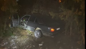 Elazığ'da otomobil, ağaçlara çarptı: 4 yaralı