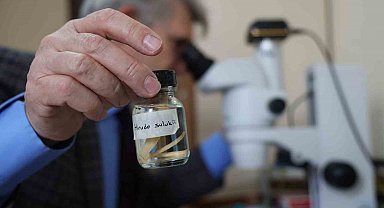 Türk tıp sülüğü 'Hirudo Sulukii' dünya literatürüne girdi: Geçmişi 10 milyon yıl önceye dayanıyor