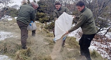 Elazığ'da yaban hayvanları için doğaya yem bırakıldı