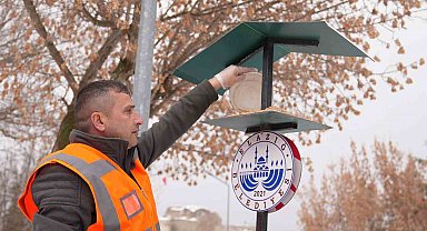 Elazığ'da yaban ve sokak hayvanlarına mama desteği