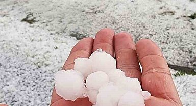 Ceviz büyüklüğünde yağdı, meyve ağaçları zarar gördü