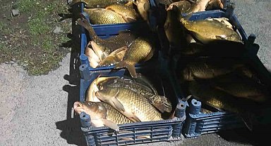 Elazığ'da kaçak avlanılan 210 kilo balık ele geçirildi