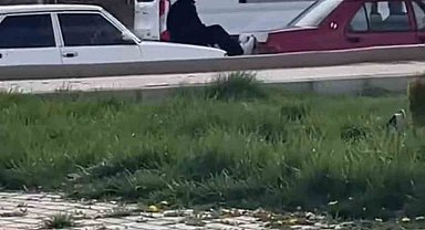 Elazığ'da şaşırtan olay: İki Fiat Tofaş'ın arasına girip halat görevi gördü