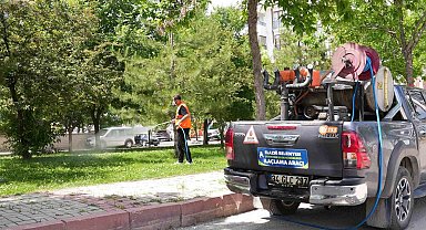 Elazığ'da ilaçlama çalışmaları sürüyor