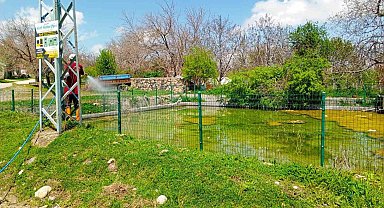 Elazığ'da larva ilaçlama çalışmaları sürüyor