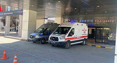 Ahırda süt sağan kadını kene ısırdı