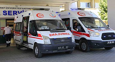 Elazığ'da kenenin ısırdığı adam hastaneye kaldırıldı