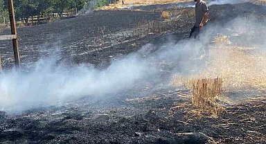 Elazığ'da yangın: Ekili alan küle döndü