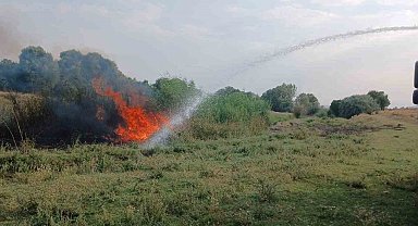 Ağaçlık alanda çıkan yangın itfaiye ekiplerince söndürüldü