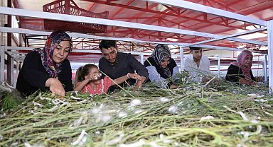 Elazığ tarihinin en büyük ipek böcekçiliği çiftliğini kurdu: Onlarca yeni üreticiye ilham oldu