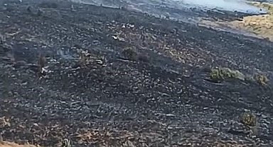 Elazığ'da arazi yangını