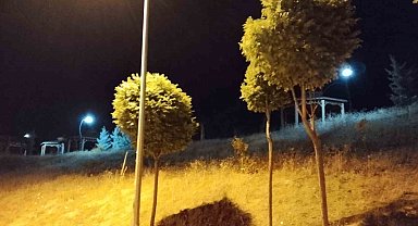 Elazığ'da kuvvetli rüzgar etkili oldu