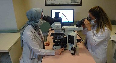 Prof. Dr. Tartar, "Dünya genelinde 350 milyondan fazla kişi hepatit ile yaşamaktadır"