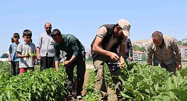 Vatandaş tarladan sofraya sebzeye doyacak