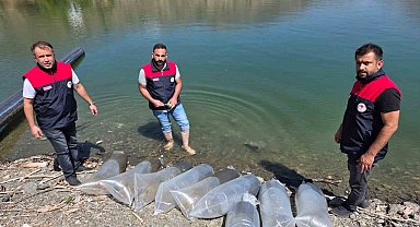 Beyhan Baraj Gölü'ne 50 bin yavru balık bırakıldı